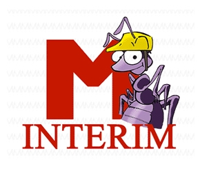 M Interim